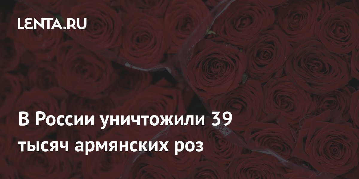 В России уничтожили 39 тысяч армянских роз