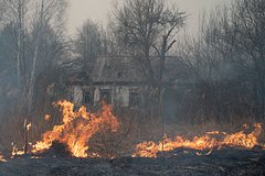 Архивное фото