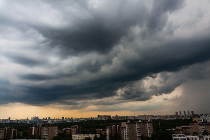 Синоптик высказался о риске урагана в Московском регионе