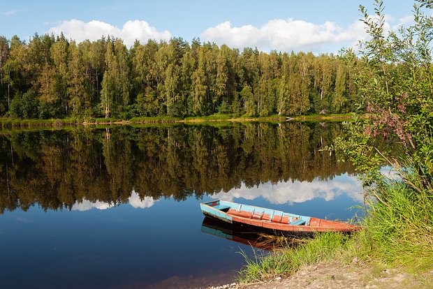 Вводная картинка
