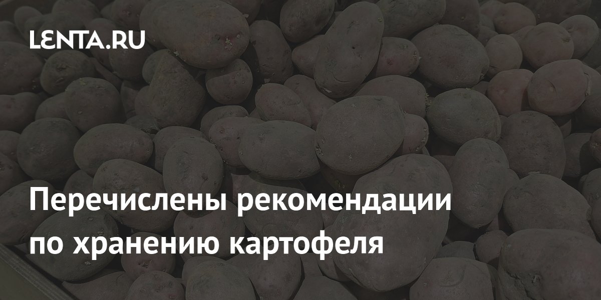 Перечислены рекомендации по хранению картофеля