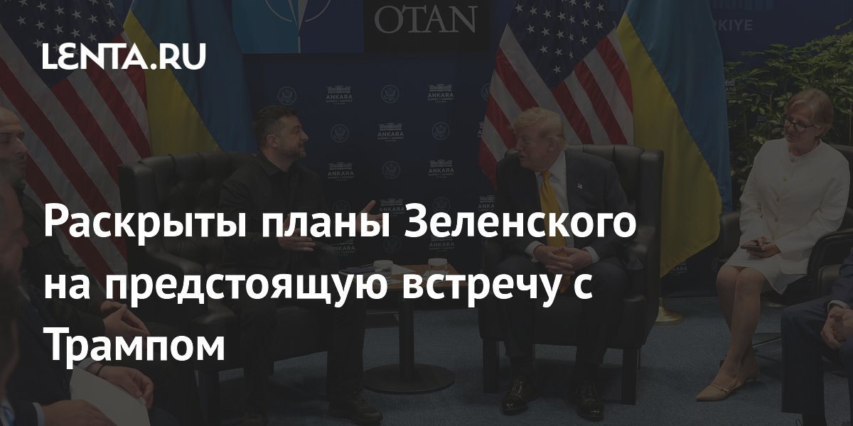 Раскрыты планы Зеленского на предстоящую встречу с Трампом