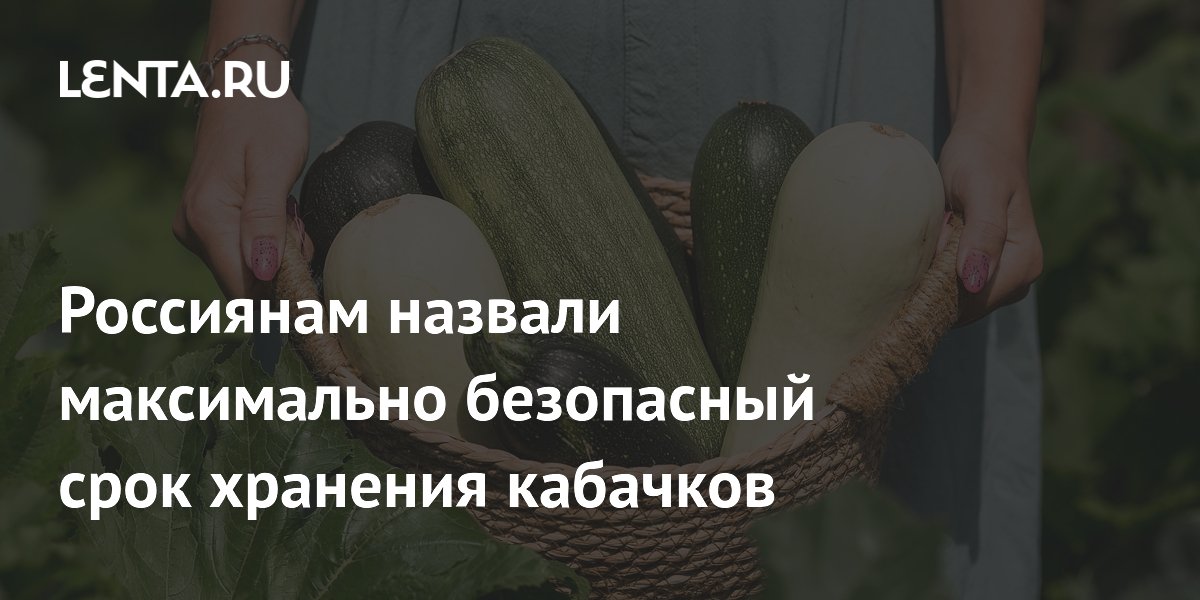 Россиянам назвали максимально безопасный срок хранения кабачков