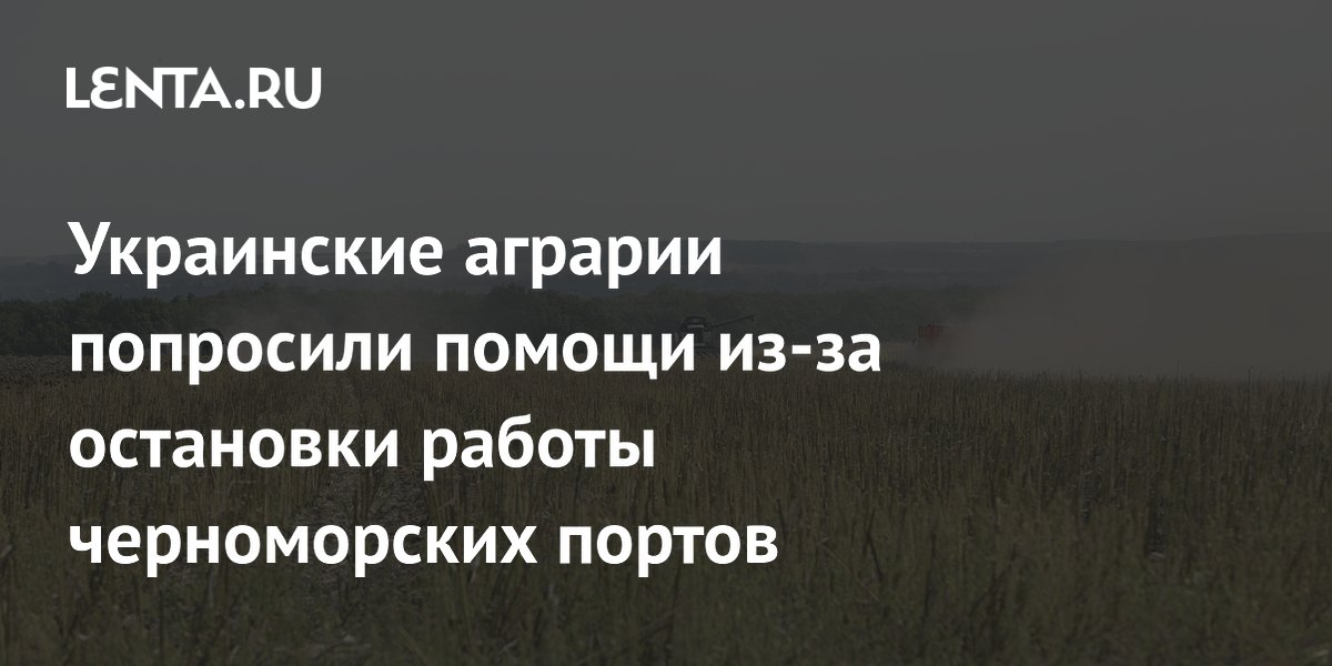 Украинские аграрии попросили помощи из-за остановки работы черноморских портов