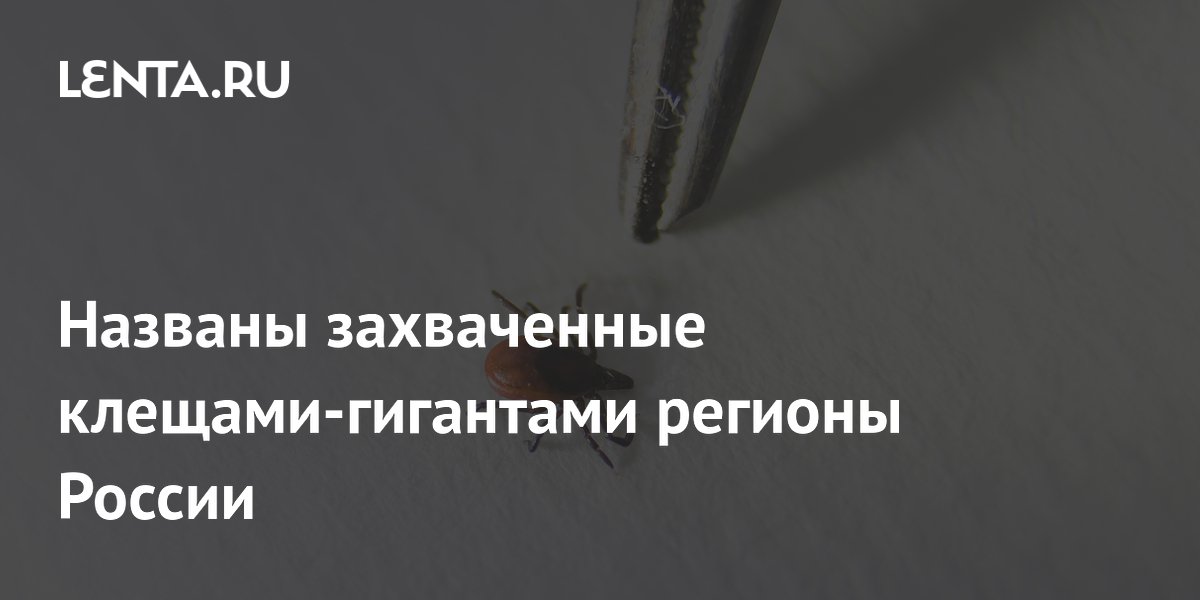 Названы захваченные клещами-гигантами регионы России