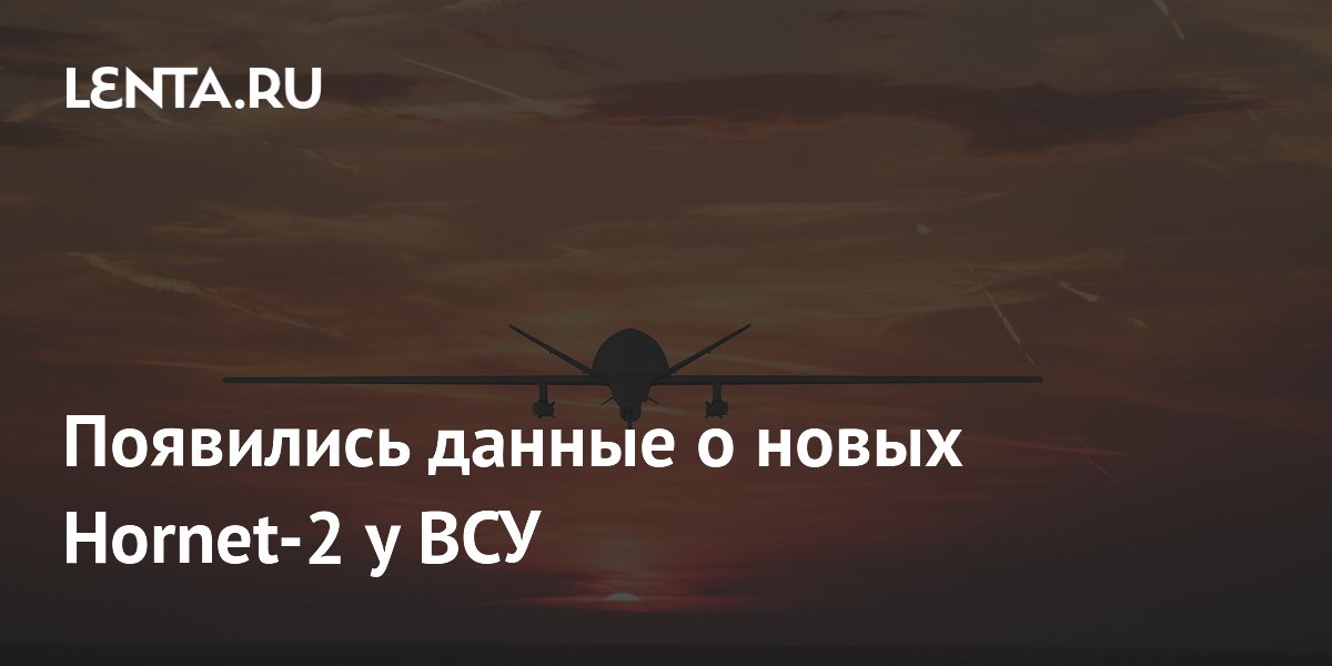 Появились данные о появлении у ВСУ новых Hornet-2