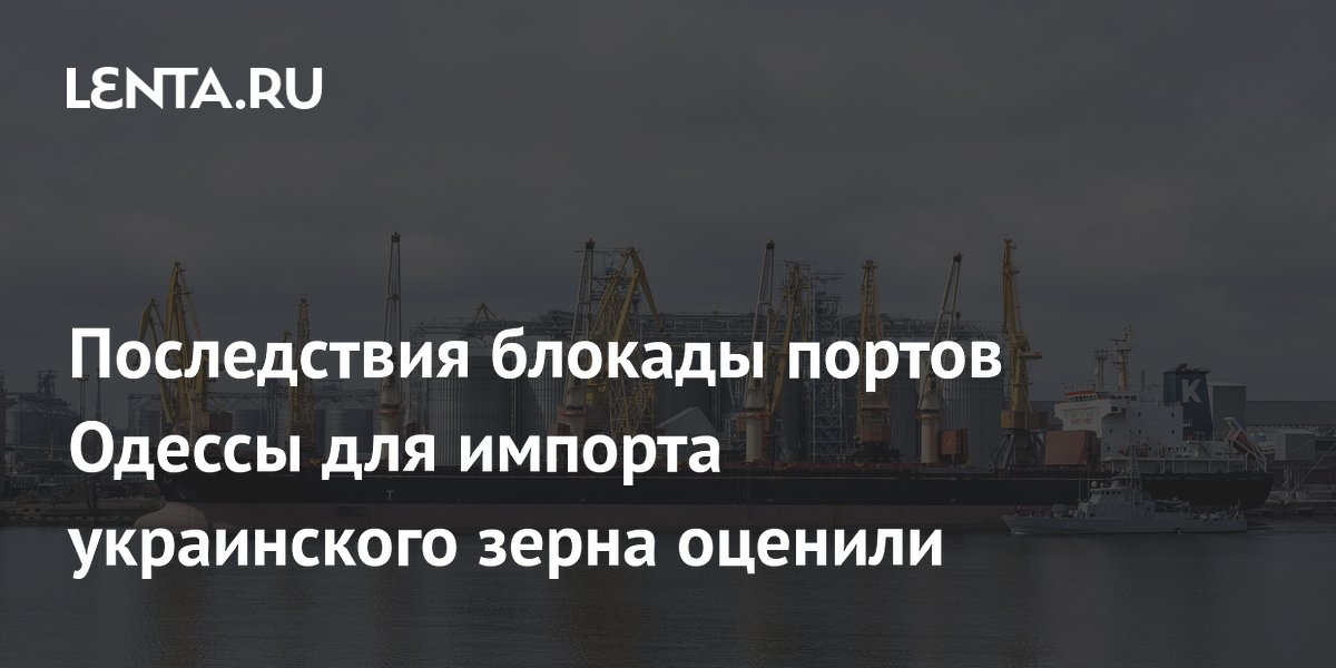 Последствия блокады портов Одессы для импорта украинского зерна оценили