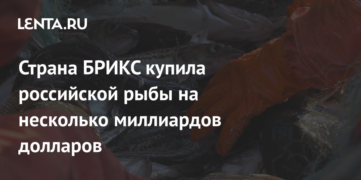 Страна БРИКС купила российской рыбы на несколько миллиардов долларов