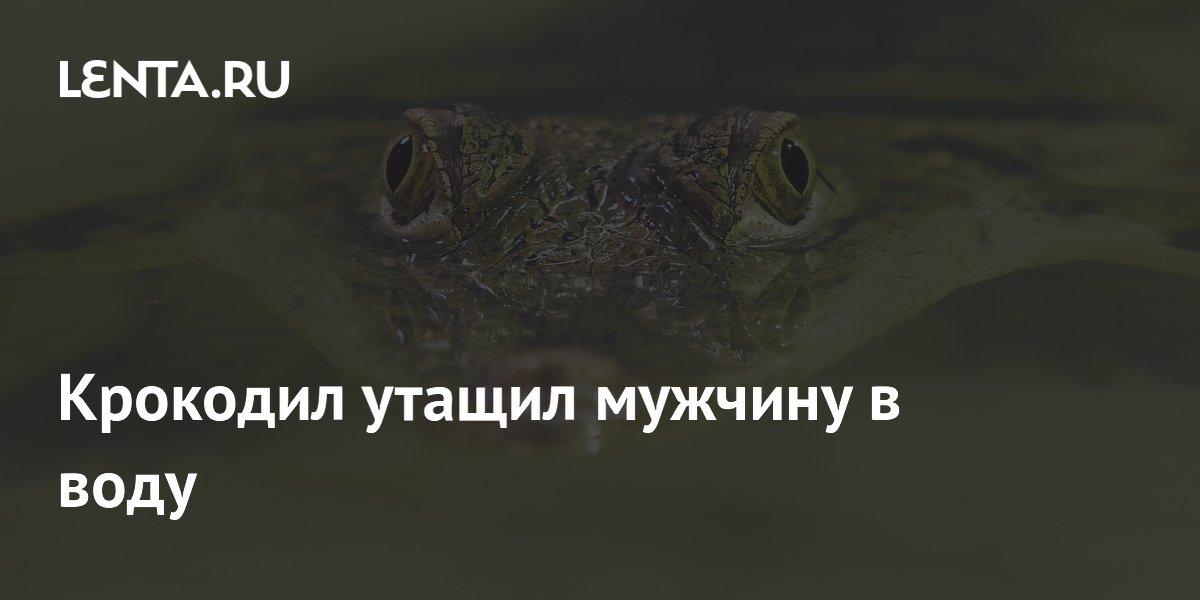 Крокодил утащил мужчину в воду