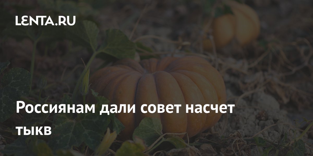 Россиянам дали совет насчет тыкв