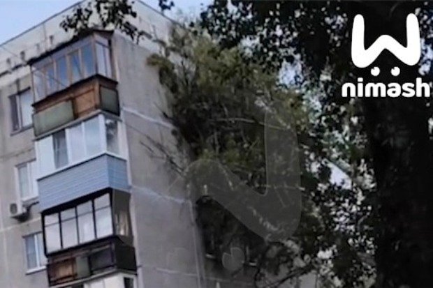 Вводная картинка
