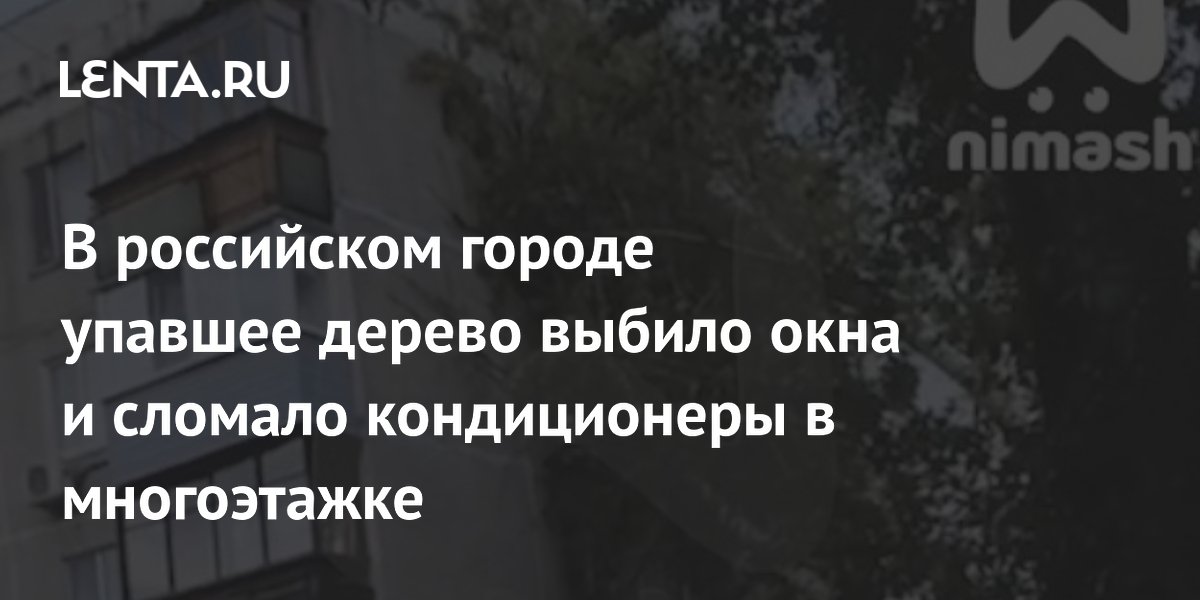 В российском городе упавшее дерево выбило окна и сломало кондиционеры в многоэтажке