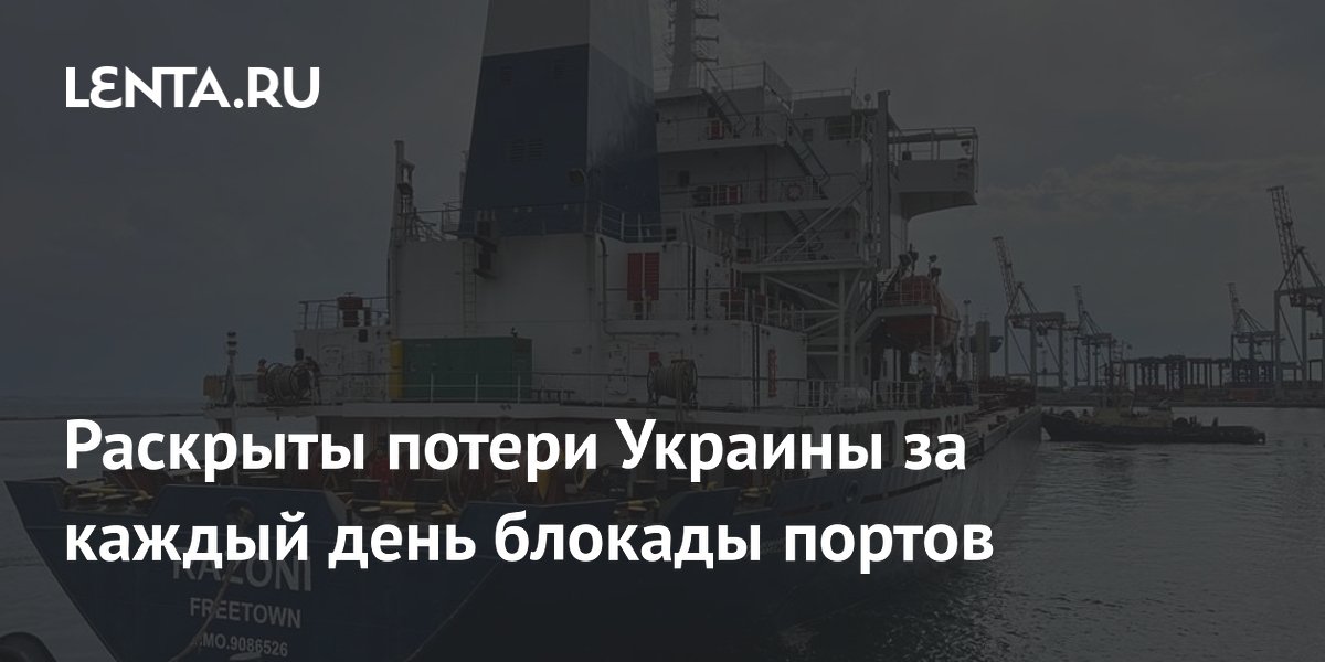 Раскрыты потери Украины за каждый день блокады портов