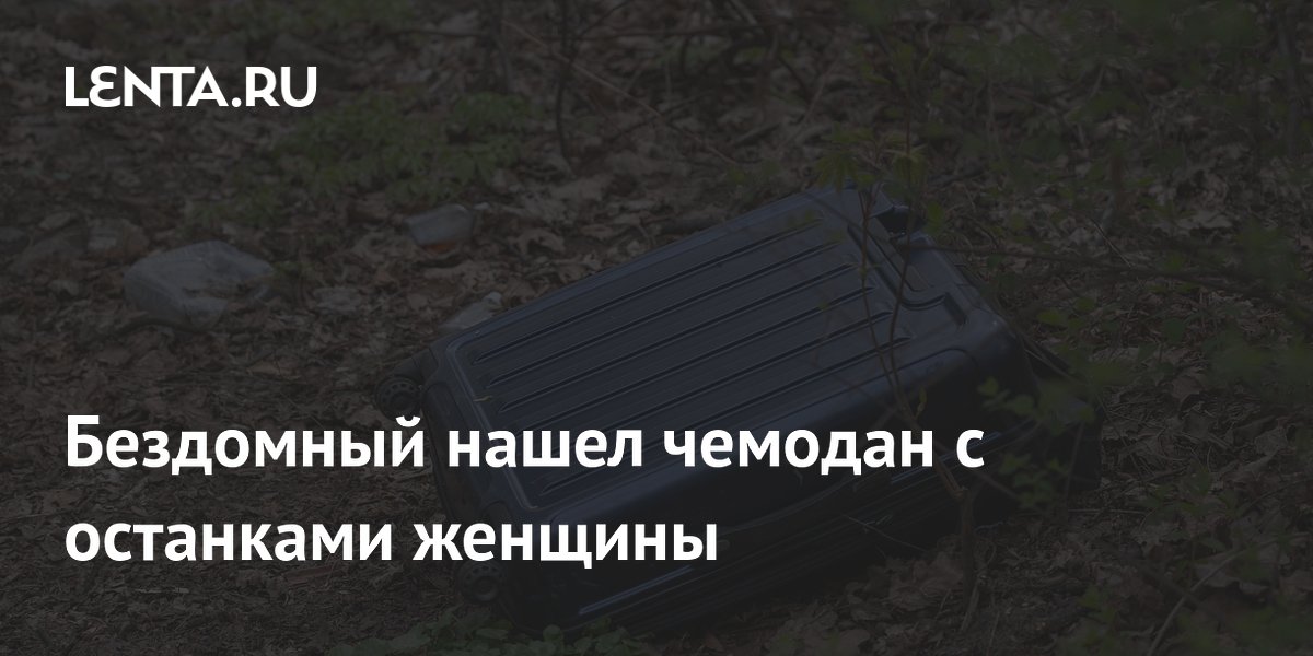 Бездомный нашел чемодан с останками женщины