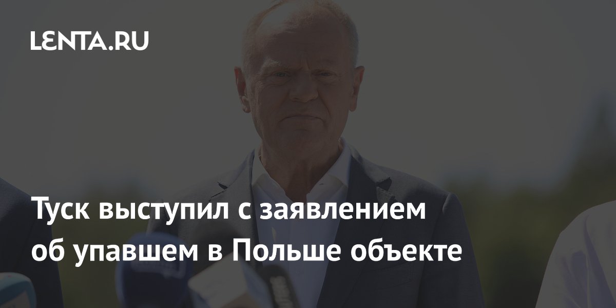 Туск выступил с заявлением об упавшем в Польше объекте