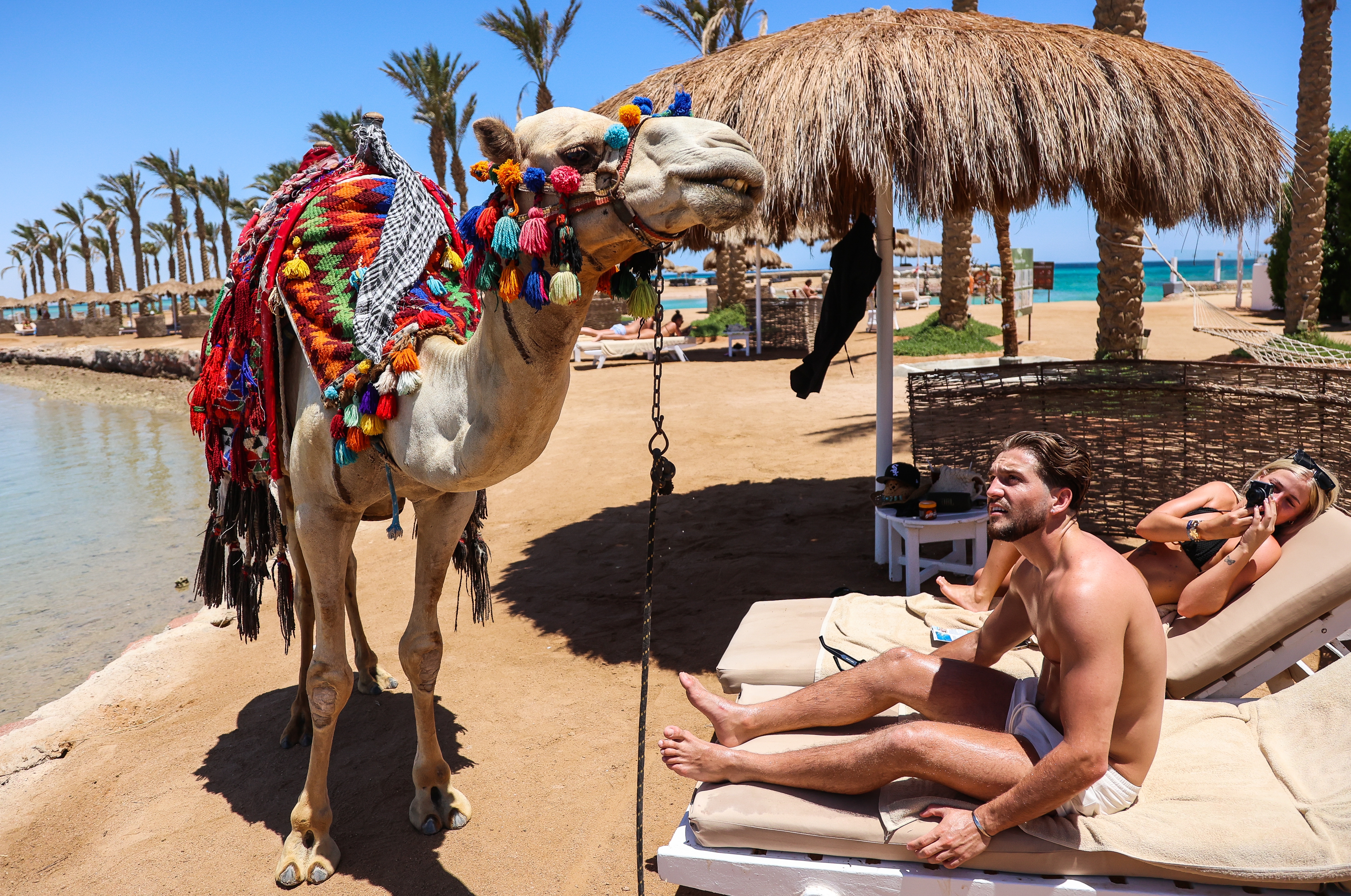 Russian Tourism to Egypt May Grow 50 Percent in 2026