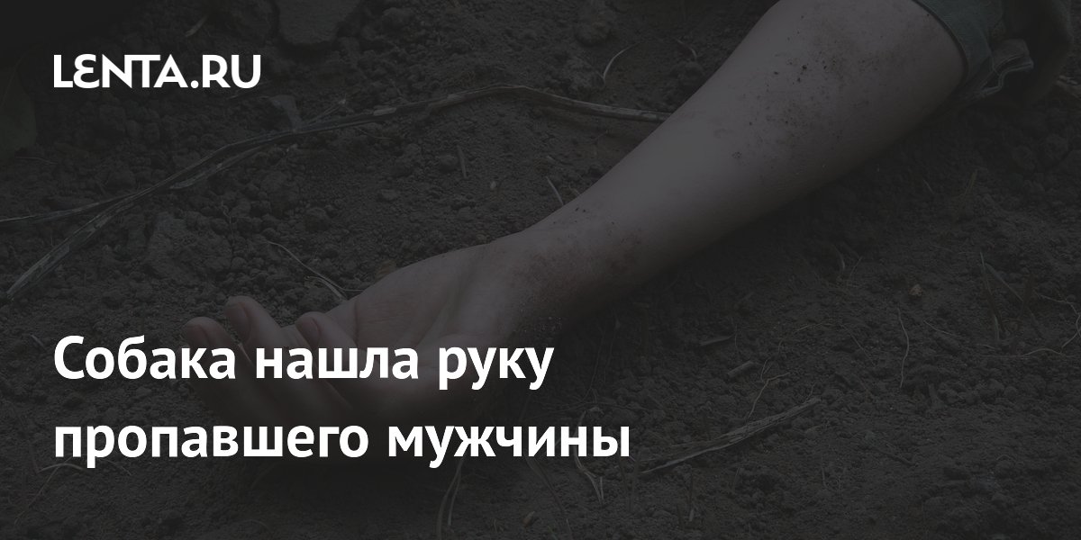 Собака нашла руку пропавшего мужчины