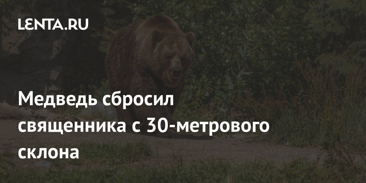 Медведь сбросил священника с 30-метрового склона