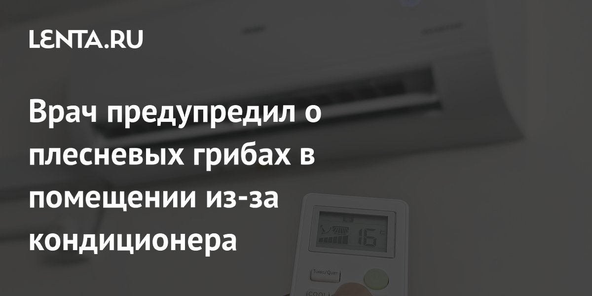 Врач предупредил о плесневых грибах в помещении из-за кондиционера