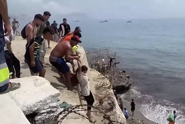 Вводная картинка