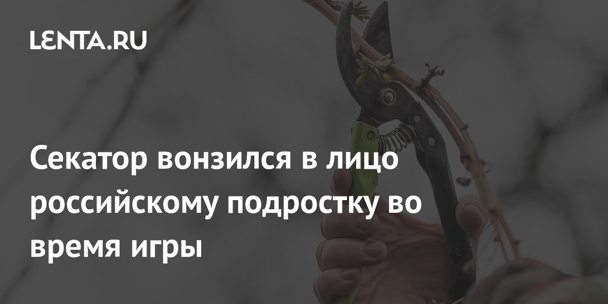Секатор вонзился в лицо российскому подростку во время игры