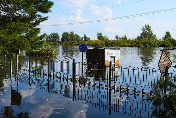 Вводная картинка