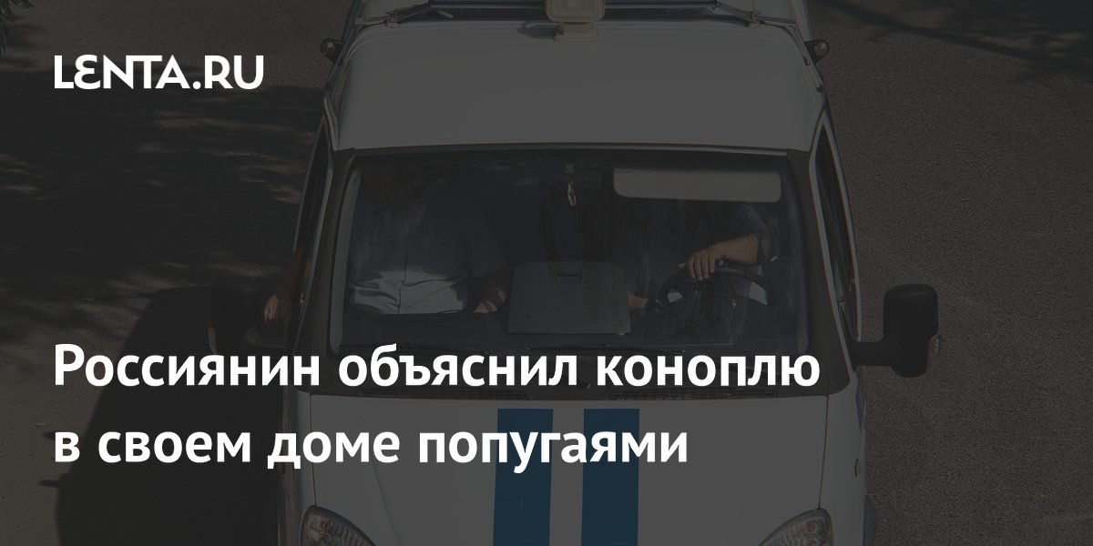 Россиянин объяснил коноплю в своем доме попугаями