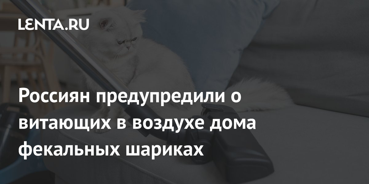 Россиян предупредили о витающих в воздухе дома фекальных шариках
