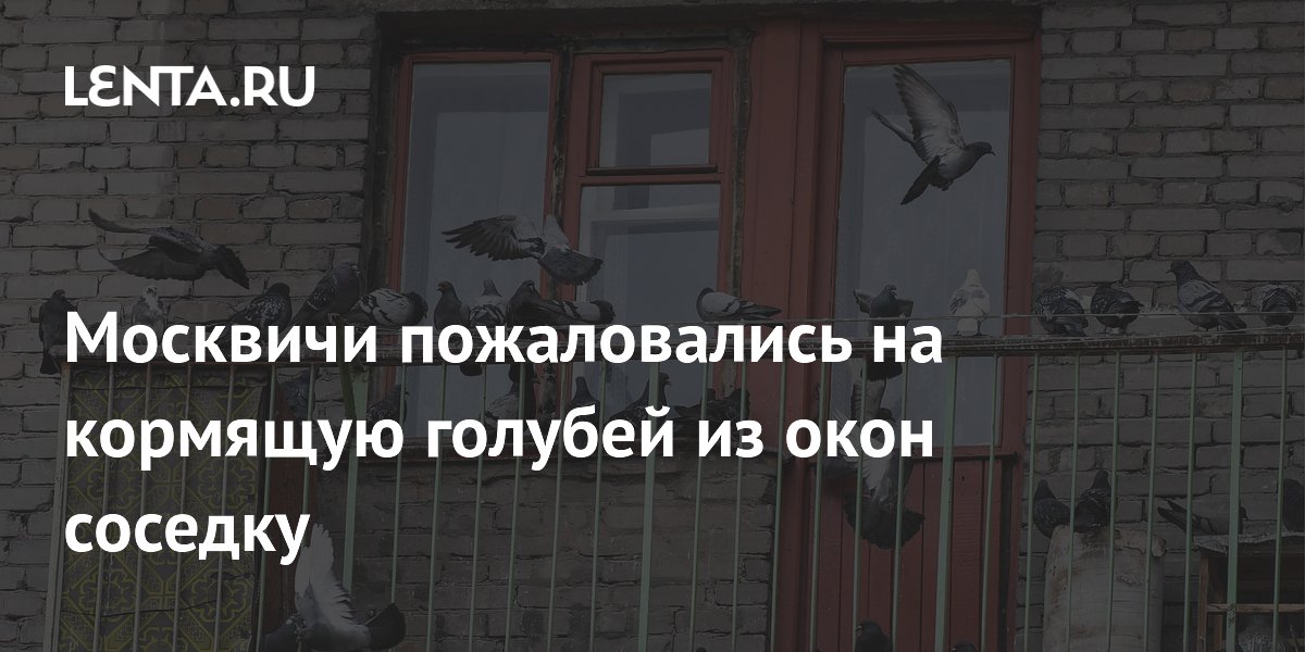 Москвичи пожаловались на кормящую голубей из окон соседку
