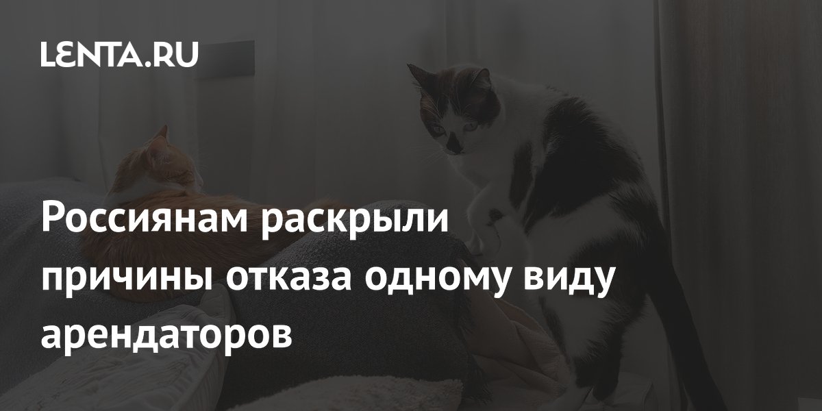 Россиянам раскрыли причины отказа одному виду арендаторов