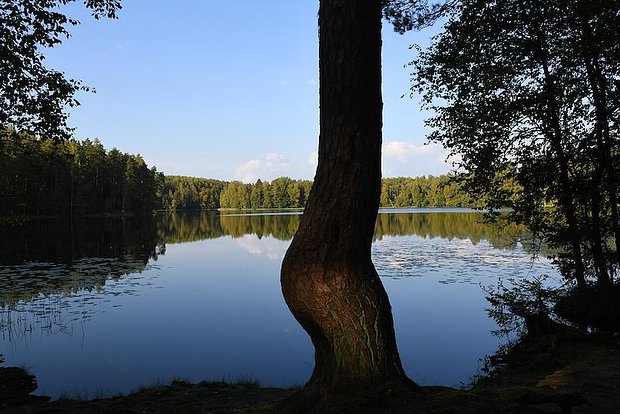 Вводная картинка