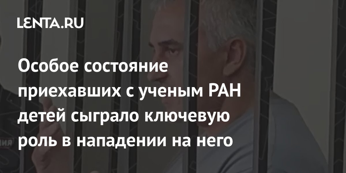 Особое состояние приехавших с ученым РАН детей сыграло ключевую роль в нападении на него