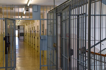 Задержанной в Грузии аспирантке из России диагностировали предынфарктное состояние в СИЗО