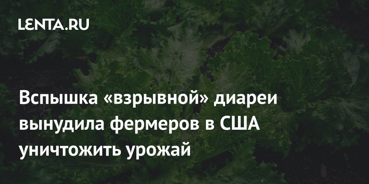 Вспышка «взрывной» диареи вынудила фермеров в США уничтожить урожай