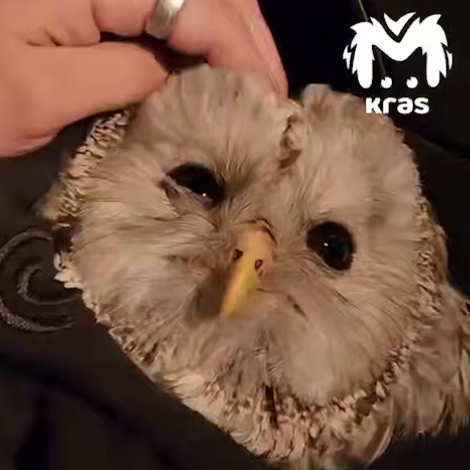 �&nbsp; ���������� ������� ������� ����� ��������� ����� ����