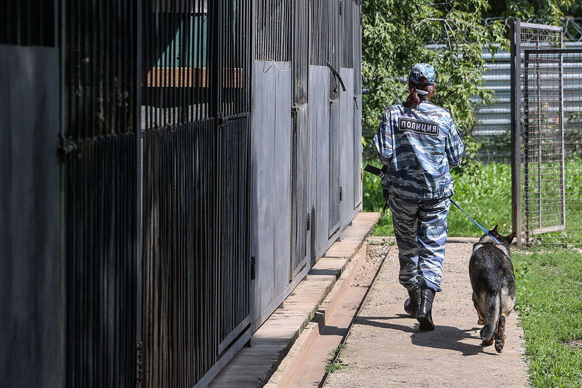Missing Moscow-region girl, 12, found alive after family row