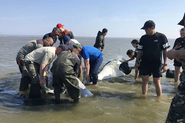 Вводная картинка