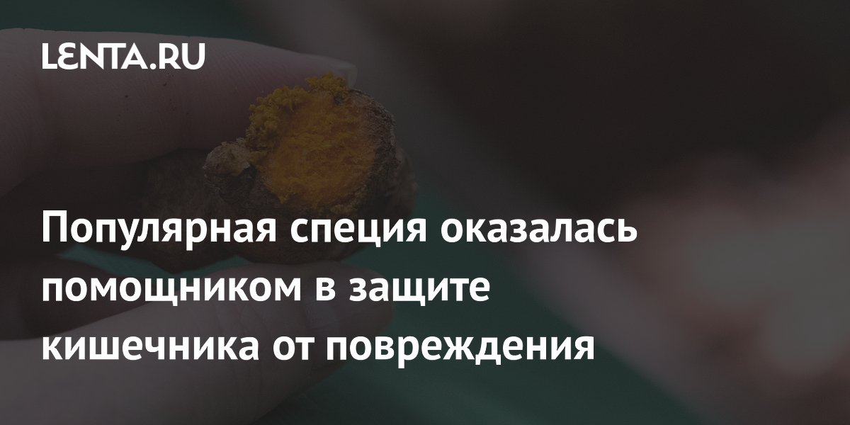Популярная специя оказалась помощником в защите кишечника от повреждения