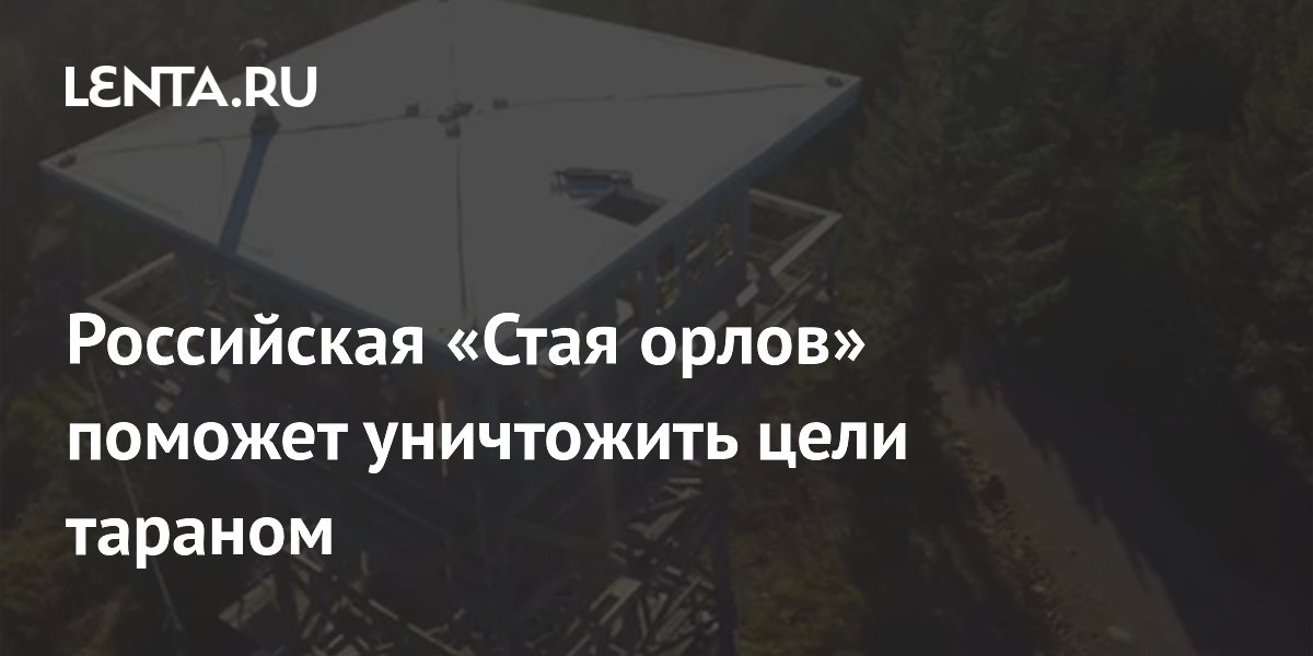 Российская «Стая орлов» поможет уничтожить цели тараном