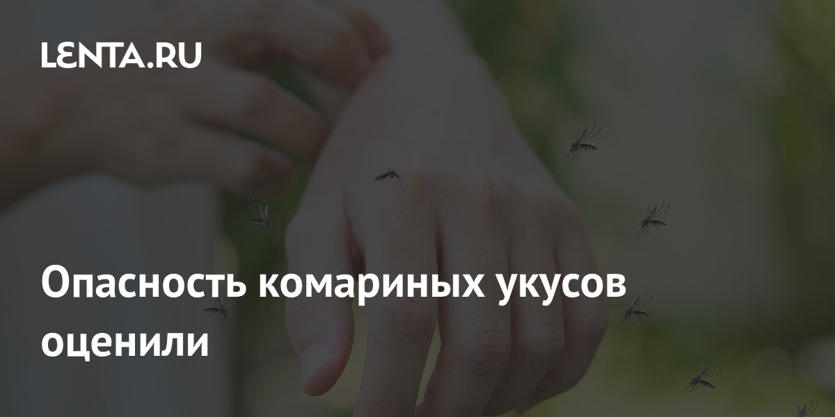 Опасность комариных укусов оценили