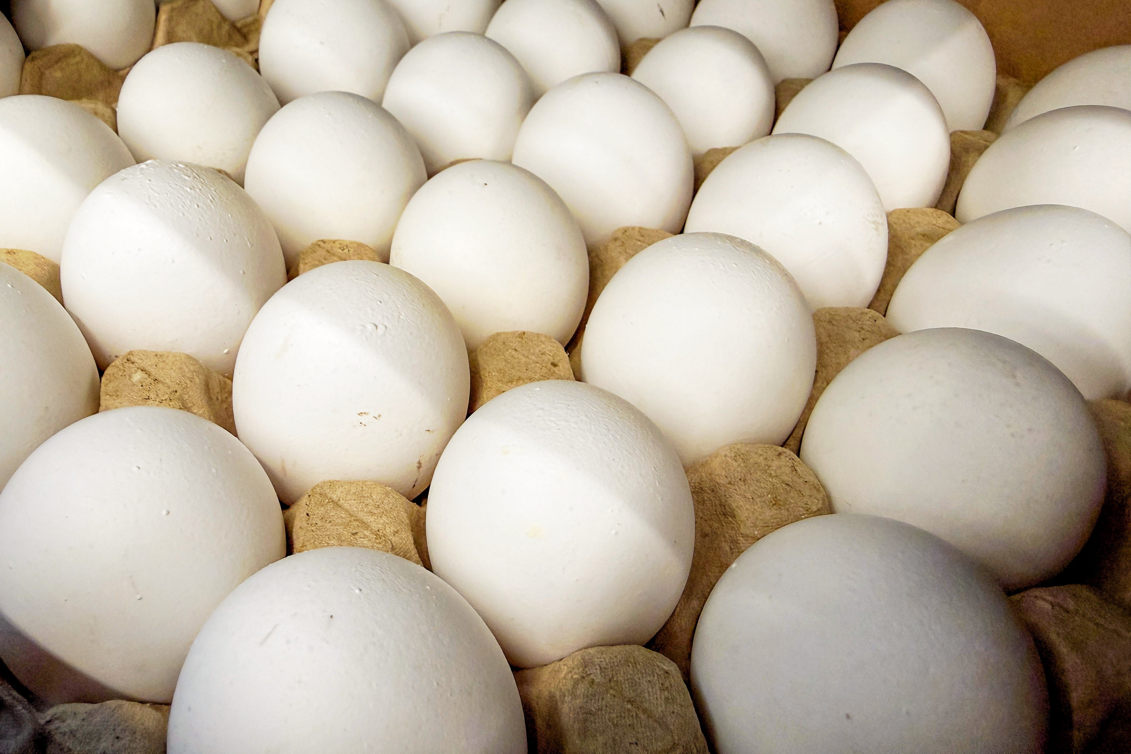 Russia Bans Egg and Poultry Imports From Cambodia
