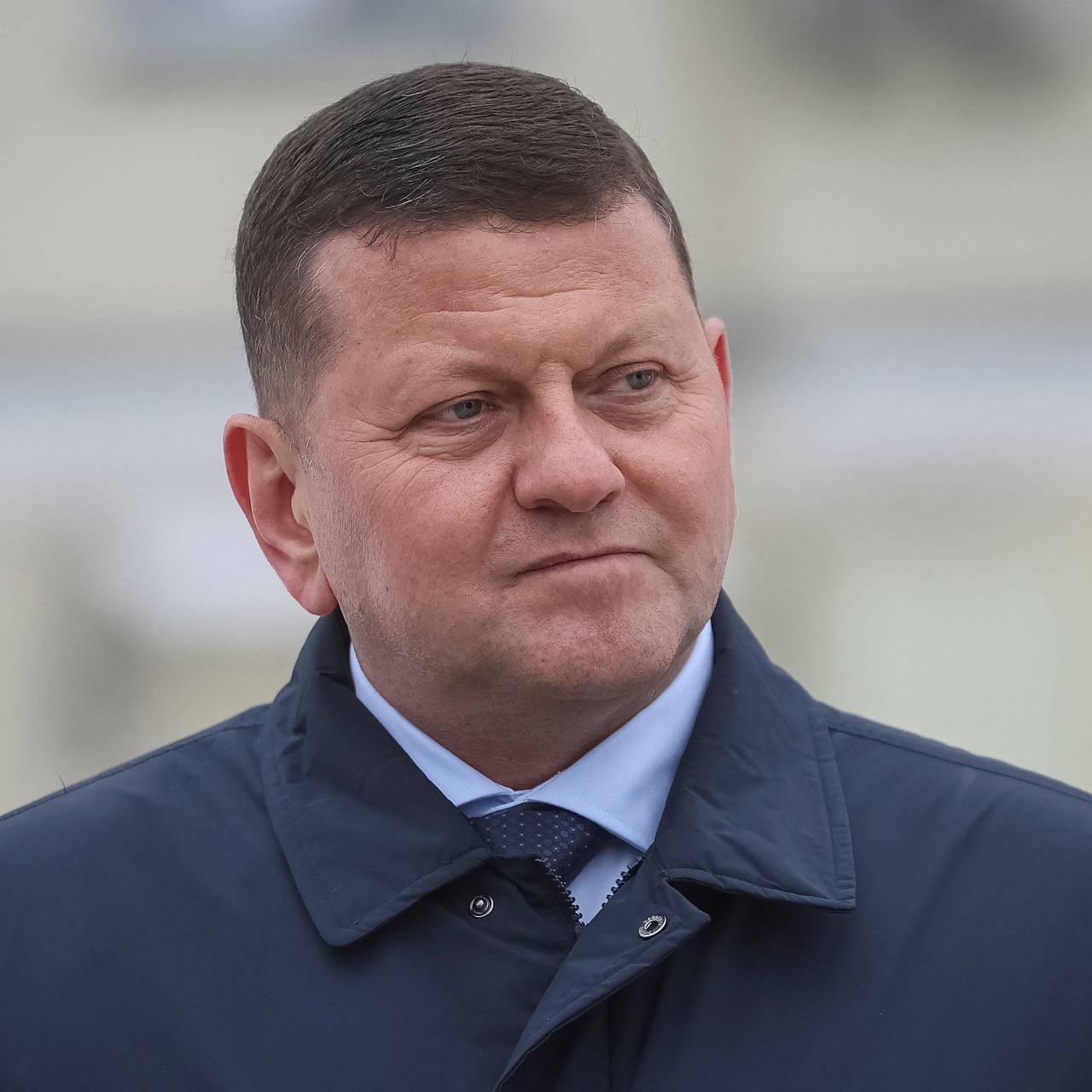 Залужный оценил шансы Украины вступить в НАТО