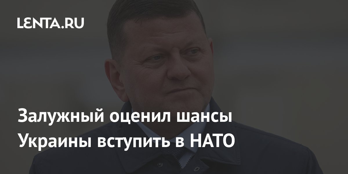 Залужный оценил шансы Украины вступить в НАТО