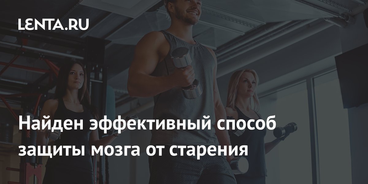Найден эффективный способ защиты мозга от старения