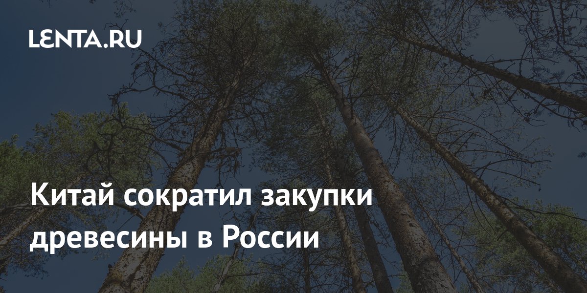 Китай сократил закупки древесины в России