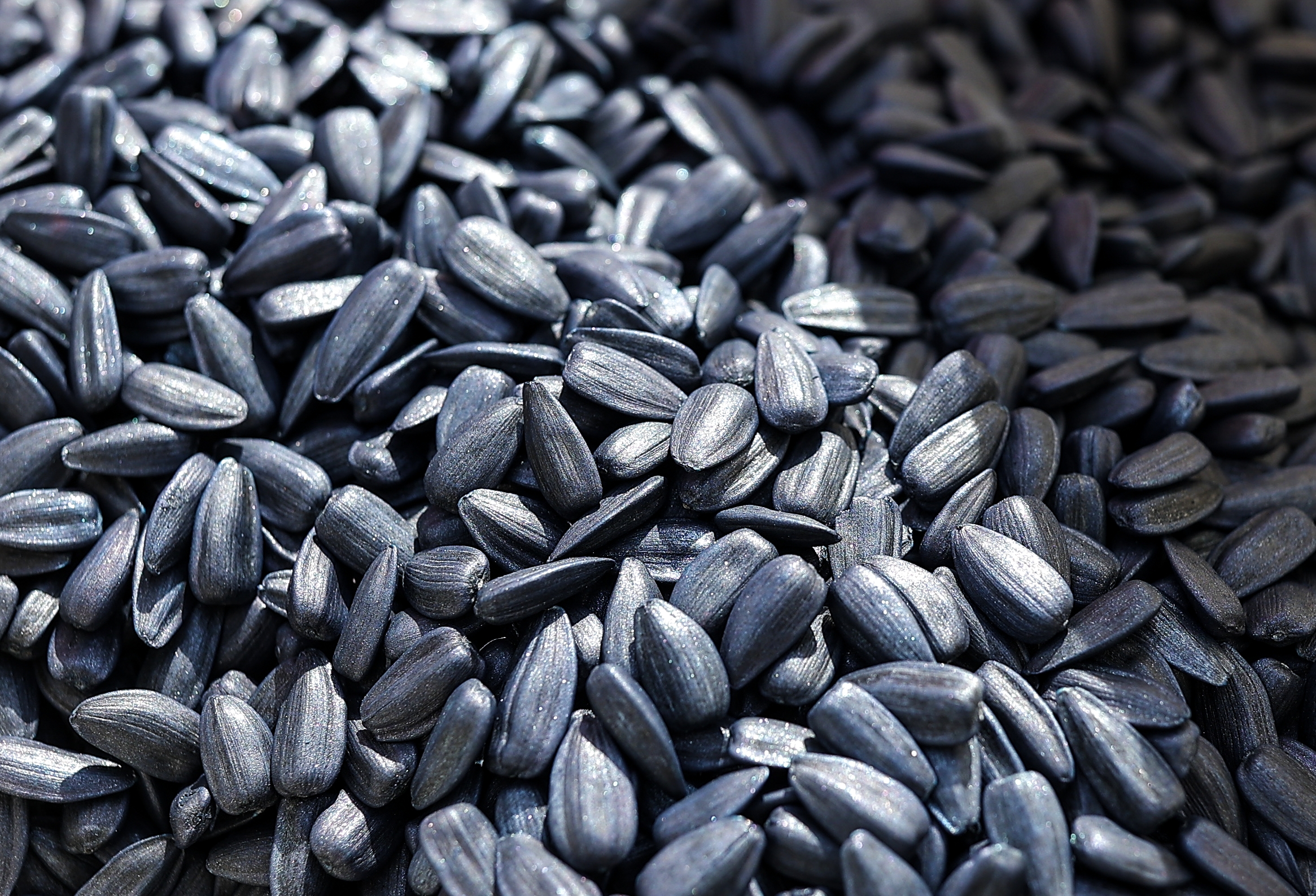 Sunflower seeds do not cause appendicitis, doctor says