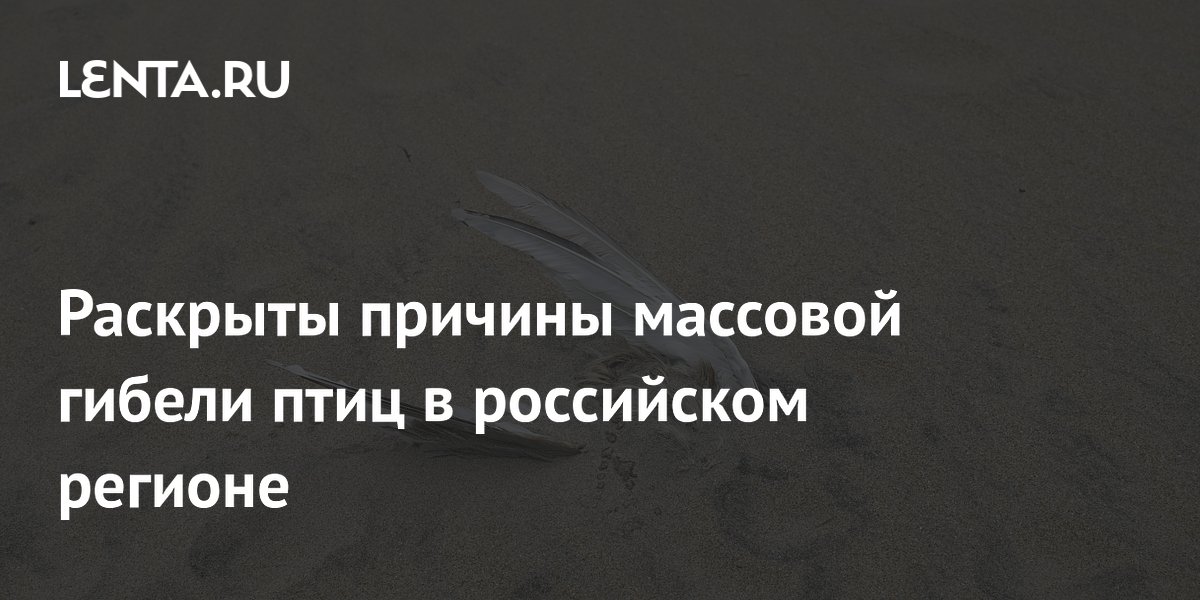 Раскрыты причины массовой гибели птиц в российском регионе