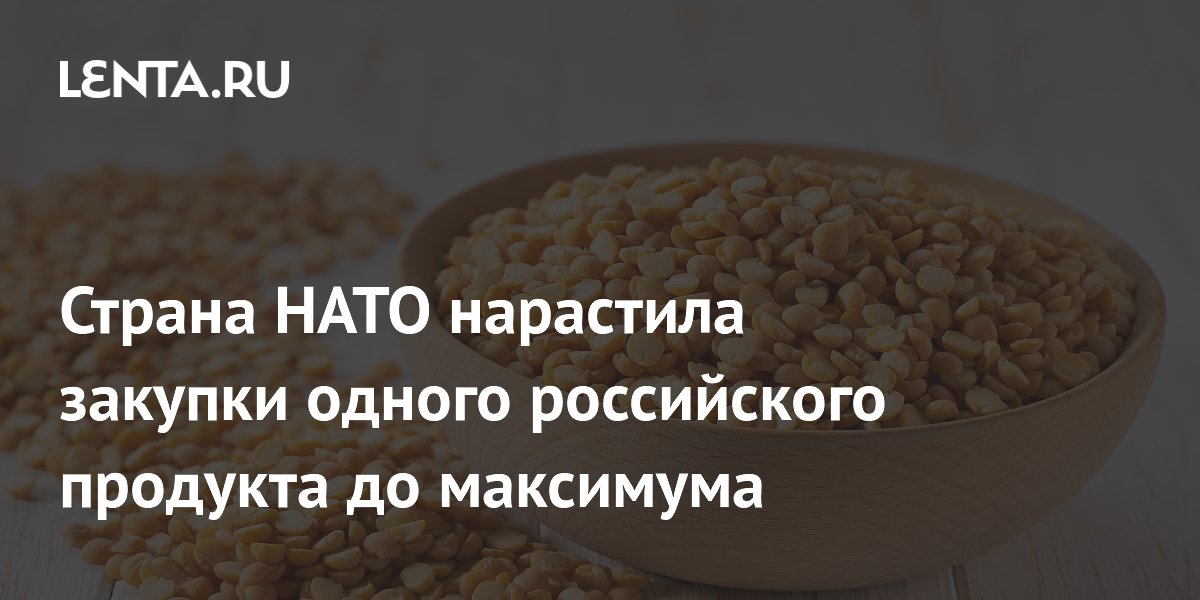 Страна НАТО нарастила закупки одного российского продукта до максимума