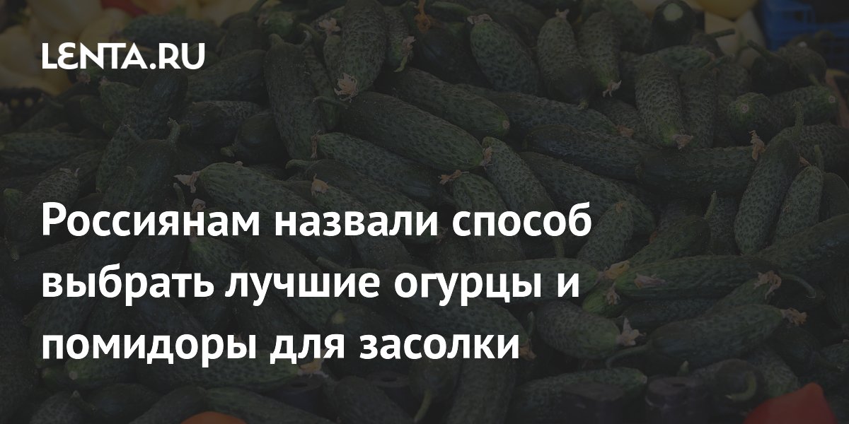 Россиянам назвали способ выбрать лучшие огурцы и помидоры для засолки