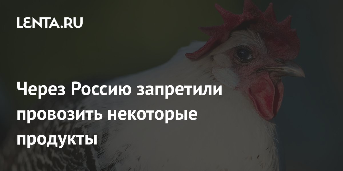Через Россию запретили провозить некоторые продукты